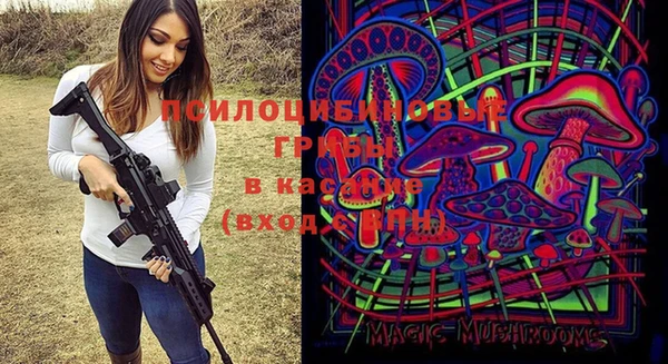 МДМА Белокуриха