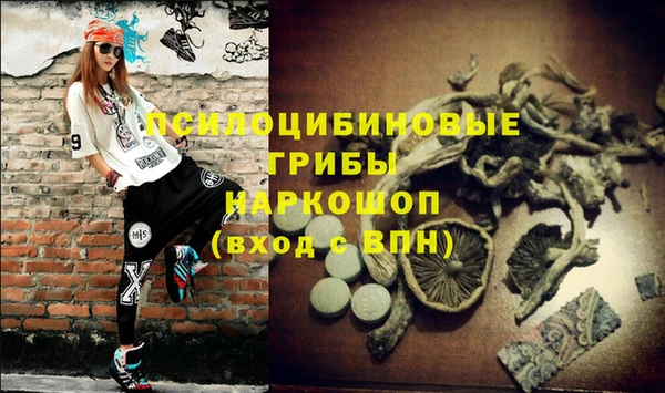 МДМА Белокуриха