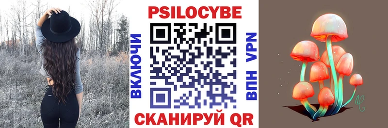 Псилоцибиновые грибы Psilocybe  Кущёвская 